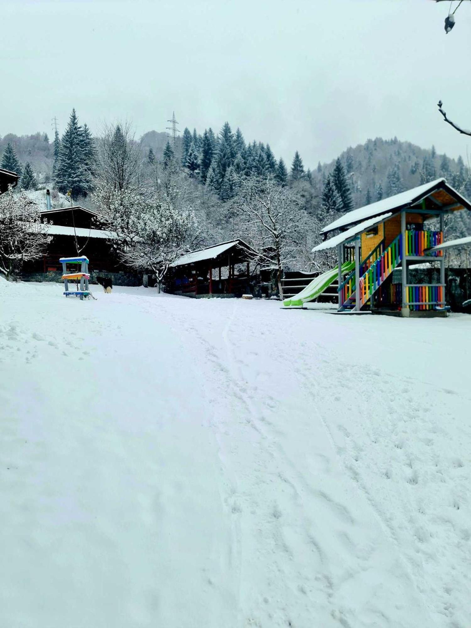 Vila Giulia Voineasa Bagian luar foto