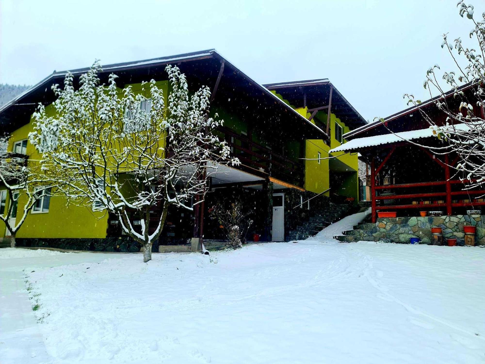 Vila Giulia Voineasa Bagian luar foto