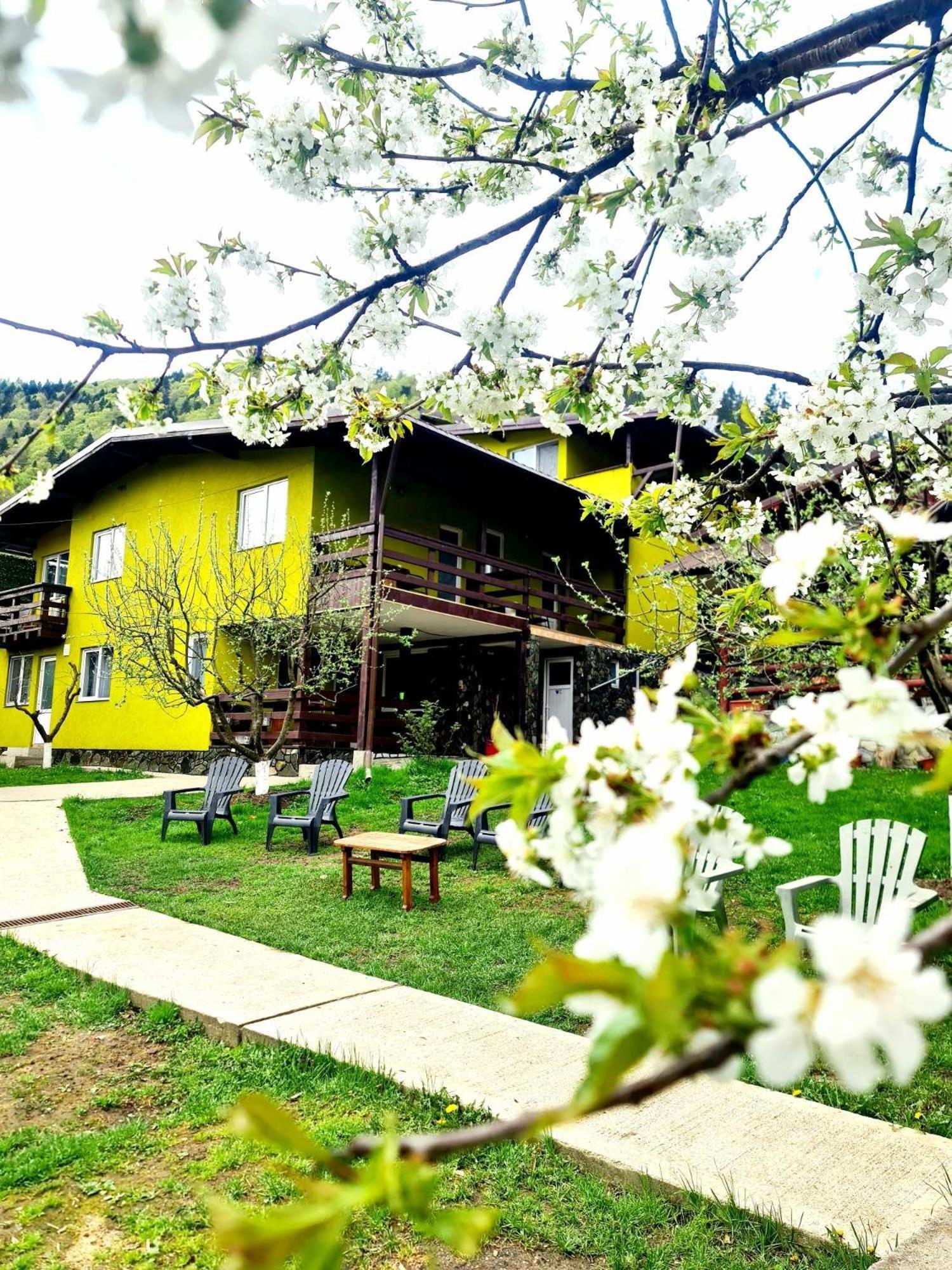 Vila Giulia Voineasa Bagian luar foto